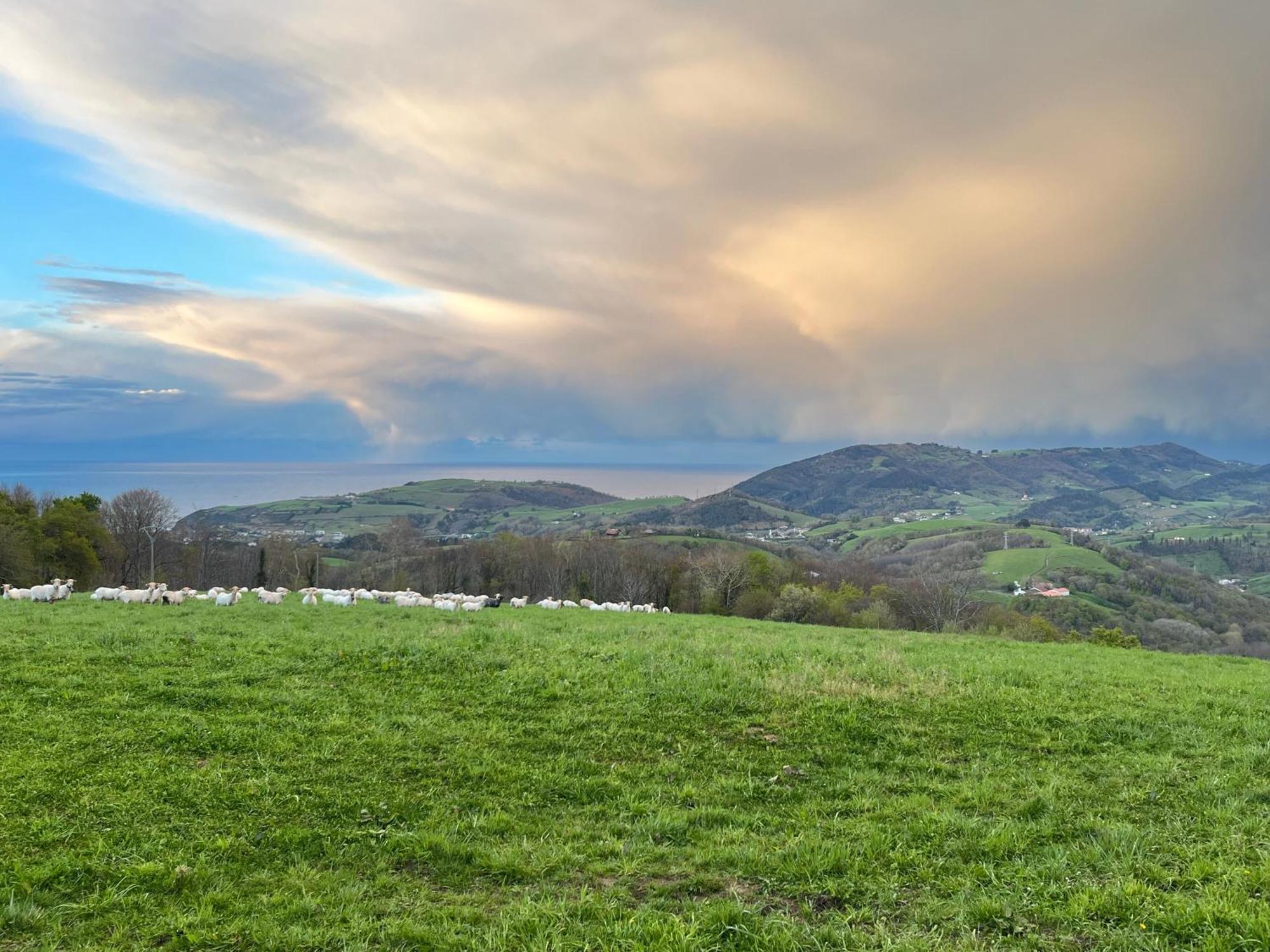 Caserio Bizkar Aia Exterior foto